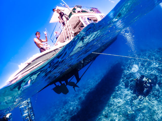 �E�~�K���Ɖj�����I2�_�C�u�@���W5823349
�̌��_�C�r���O�͕\���o�^����̐l�C�v����_�A���t�@�_�C�u�ǒJ�X