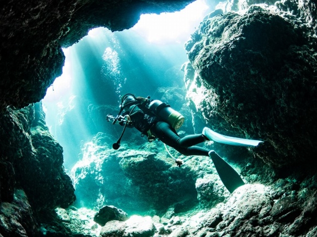 �c�Ǌԏ�����`�[�r�V�͗l�X�ȃ_�C�r���O�|�C���g������A������50�����𒴂��܂��B_�A���t�@�_�C�u�ǒJ�X