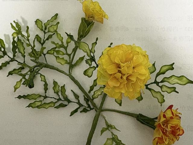 �A�����J���t�����[�����n�[�g�I�u�t�����[