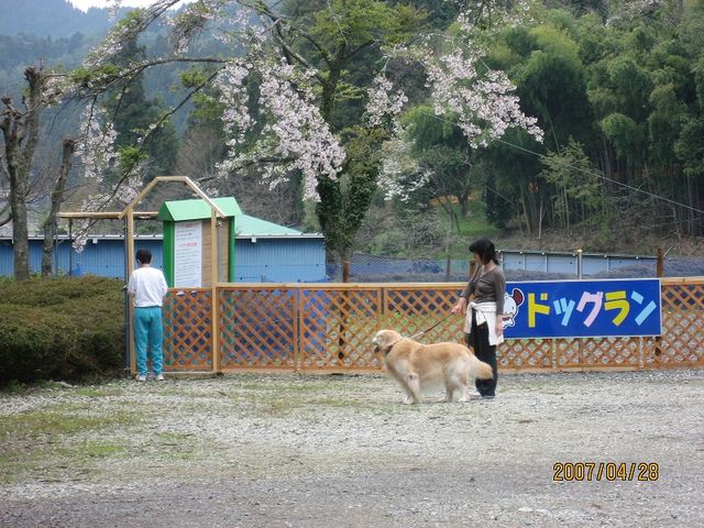 �h�b�N����_�S�㔪�� ���R�ߓ���