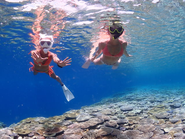 �u���[���O�[���Ί_��