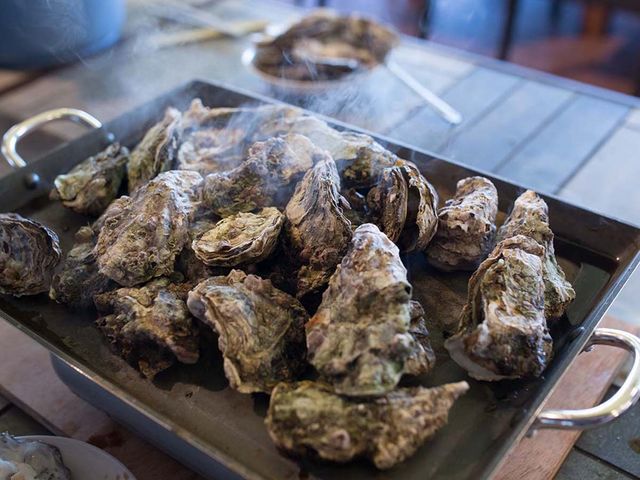 傩Yn̐VNȃJLۂƏĂɁB_V[ACKC