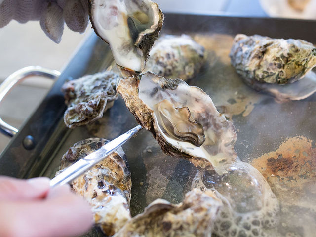 Čb݂Ղ̃JLۂƂς_V[ACKC