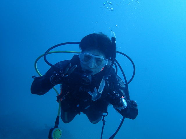 �_�C�r���O�́A���P�O�΂���y���߂܂��I_�_�C�r���O�X�N�[���@�J�C�����A