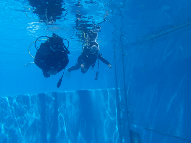 ���Ɛ[��̂���_�C�r���O�v�[���I_�_�C�r���O�X�N�[���@�J�C�����A