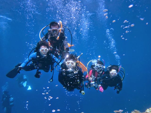 �L�O�ʐ^�͂���]�ɂ��A�����グ�܂��I_�_�C�r���O�X�N�[���@�J�C�����A