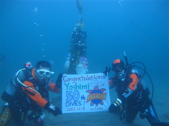 �����N���X�}�X�c���[�A�~�����Đ���܂��I_�_�C�r���O�X�N�[���@�J�C�����A