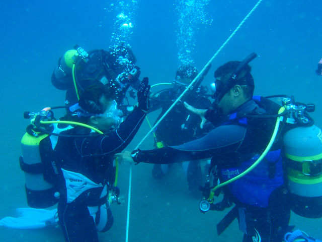 ��������u�K�A�������蒇�ԂÂ���I_�_�C�r���O�X�N�[���@�J�C�����A