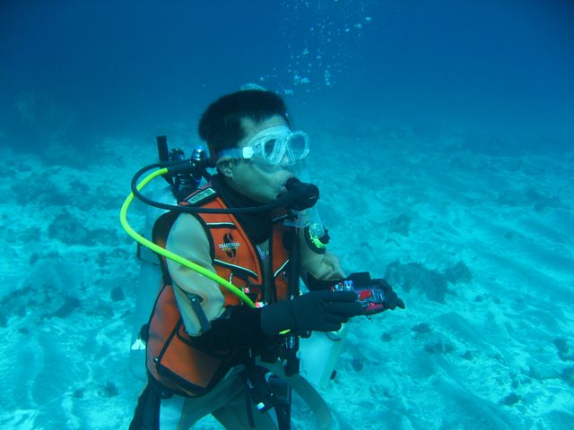 �Â��ɊC�̉��𕷂��Ă݂�I_�_�C�r���O�X�N�[���@�J�C�����A