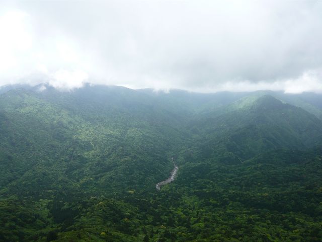 ���v���R��