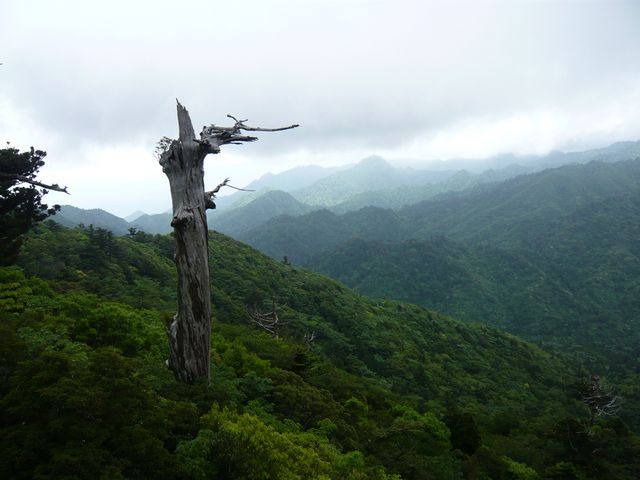 ���v���R��