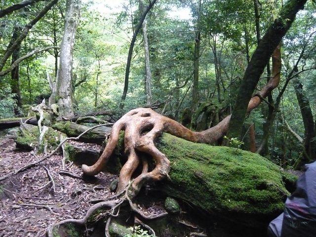 ���v���R��