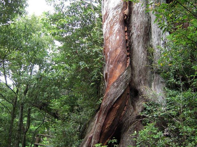 ���v���R��