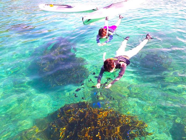 �����x���Q�I�I_SUP�E�N���A�J���b�N Nice Time Okinawa