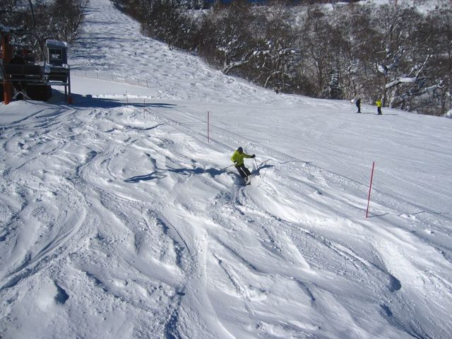 �Ύq�p�[�N_�݂€�������ڂ����]�[�g