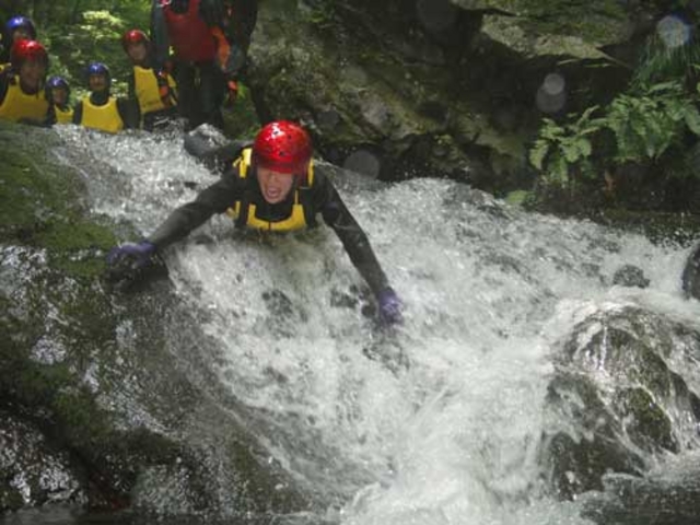 �V�R�̃E�H�[�^�[�X���C�_�[�ł��I_�p�m���}�A�h���F���`���[�Y