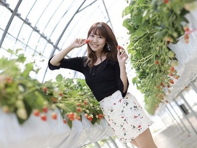 ����ό��_��