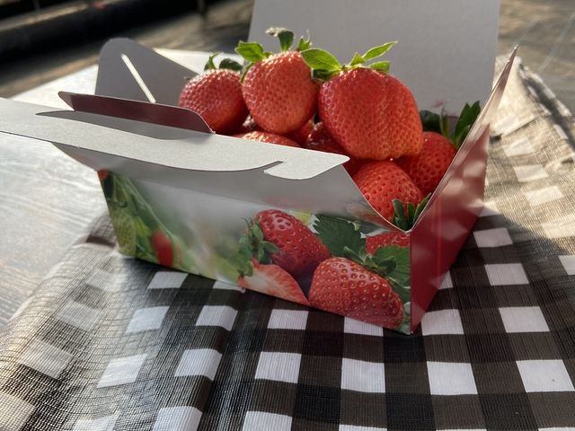 ����ό��_��