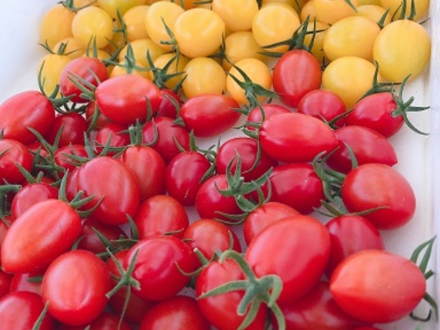 ����ό��_��