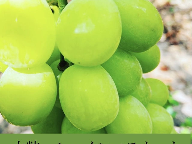 ����ό��_��