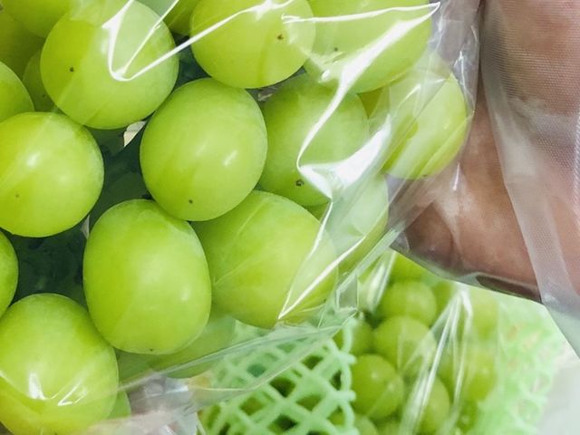 ����ό��_��