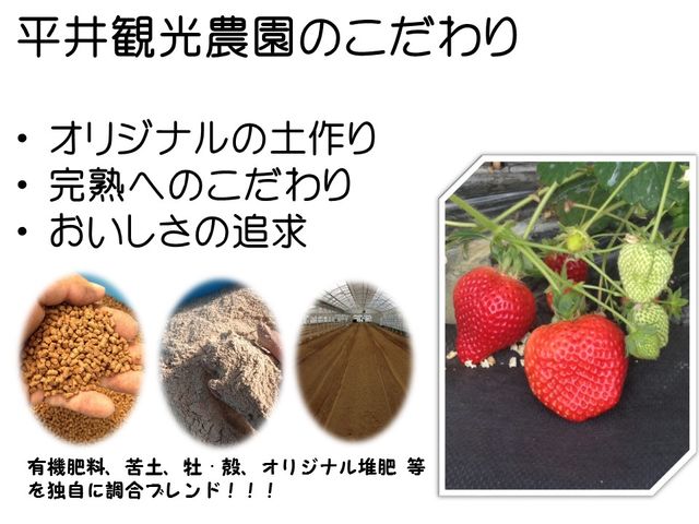 ����ό��_��