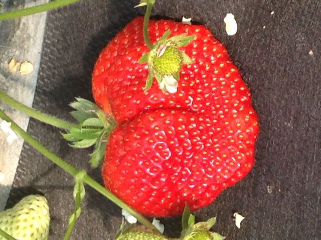 ����ό��_��