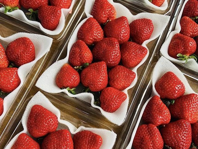 ����ό��_��