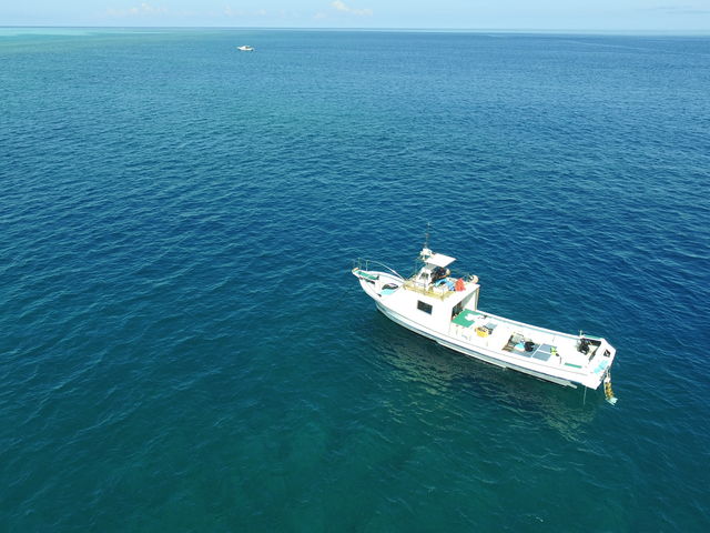 �}�i�@�t�@�N�g���[