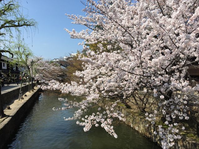 ���X�|�b�g����ē��I�i�����t�߁E3�����{�`4����{���j_���т����q�~