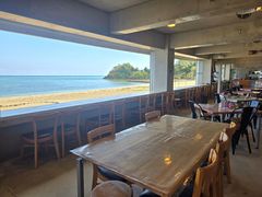 �V�[�T�[�̌� �����q�̎ʐ^1