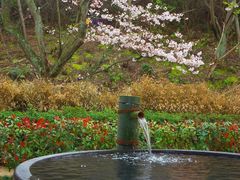 湯ノ浦温泉　四季の湯　ビア工房の写真1