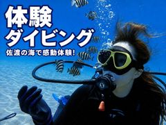 フリーウェイ|ダイビングサービス フリーウェイの写真1