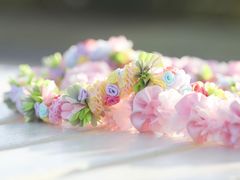 �n���C�A�����{�����C�E�n���h���C�h�̂������}�J�i�A���n�̎ʐ^1