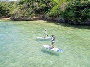 �I���I���Ί_���G�R�c�A�[�̎ʐ^2