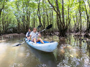 �I���I���Ί_���G�R�c�A�[�̎ʐ^4