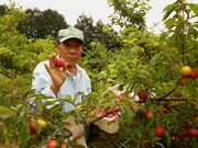 _ƃXg@܂˂Li_Ƒ̌j̎ʐ^4