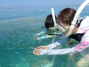 ������ЂƂ������̎ʐ^3