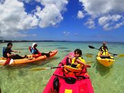 lC`[R[fl[gEA_S̎ʐ^3