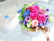 DDT@FLOWERS@Vh̎ʐ^2