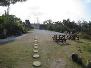 �_�C�u�i�b�c�̎ʐ^4