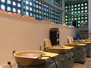 Z~bNp[NMINO쓩ق̎ʐ^3