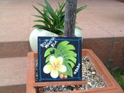 SHICACO's Chalkart̎ʐ^2