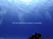 Diving Shop KANOA̎ʐ^2