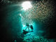 沖縄ダイビングと青の洞窟のSeaMoleの写真2
