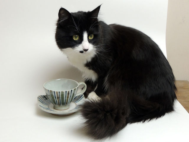 ���C�q�@��_��