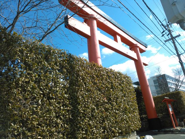 ��앚�����