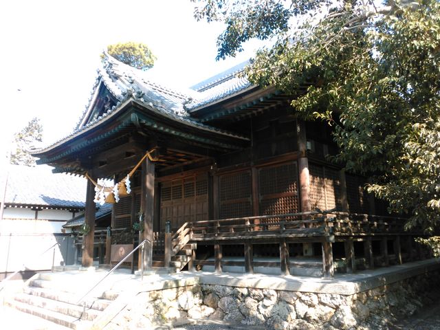 ��씪���_��