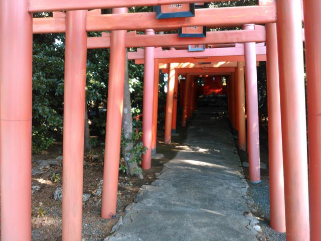 ��씪���_��