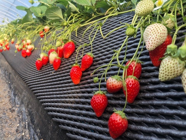 �����_��